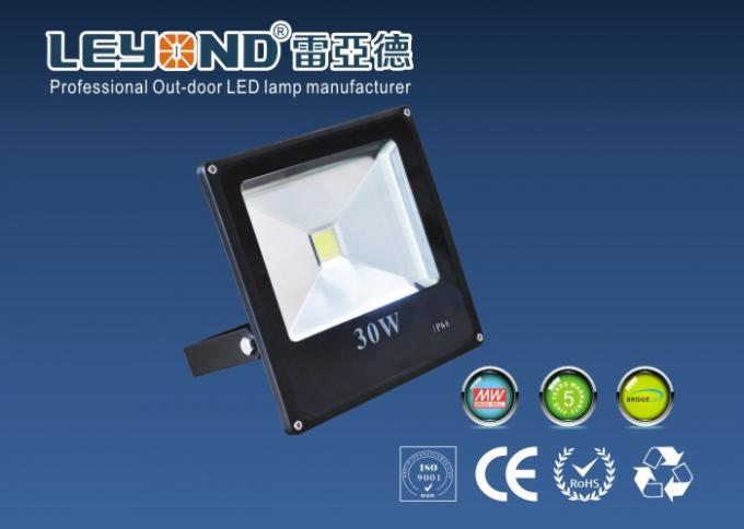 30 Watt Pure White Outdoor LED Flood Lights Fixtures / LED Yard Flood Lights With Black Shell
