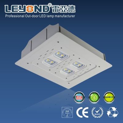  Chips Led Canopy Lights Meanwell Driver Exterior Canopy Lighting