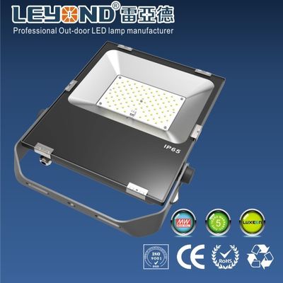 Chips 30W Waterproof LED Flood Lights For Outdoor use