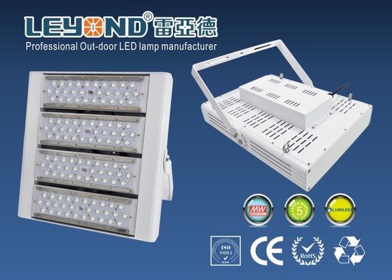Professional High Lumen Outdoor 200W led tunnel light Meanwell Driver