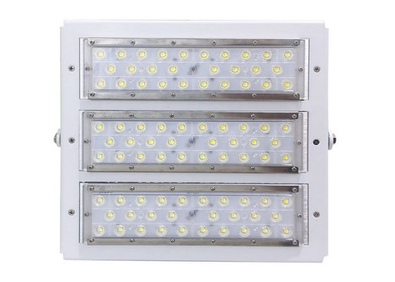 RGB Outdoor LED Flood Lights Meanwell Driver Lumileds 5050 IP66 100 Watt TBD