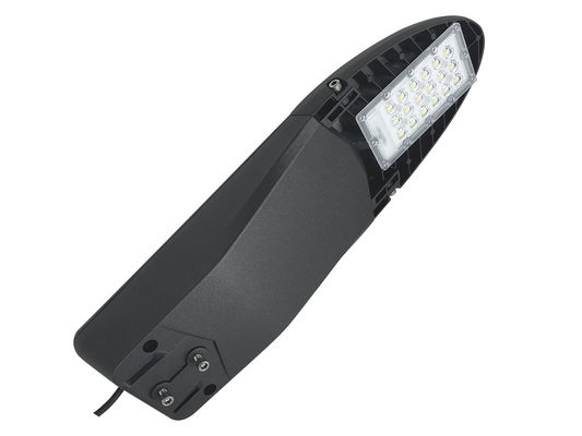 Petrel 60W LED Street Lighting Lumileds 5050 LED Smart Time Control