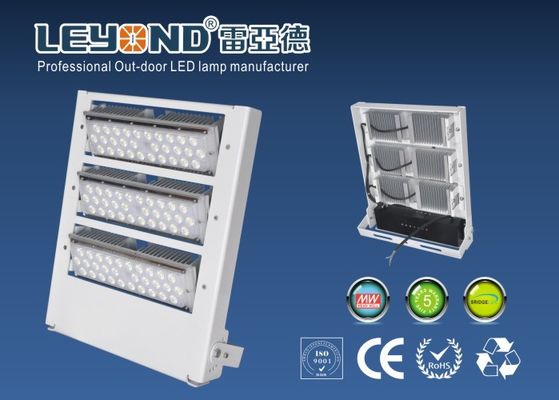 Advertising Adjustable Billboard Waterproof Led Flood Lights Outdoor High Power Asymmetric Lens