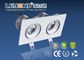 Double Heads LED Downlight