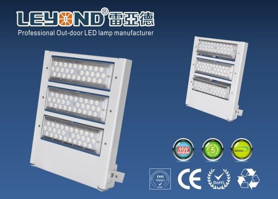 Advertising Adjustable Billboard Waterproof Led Flood Lights Outdoor High Power Asymmetric Lens