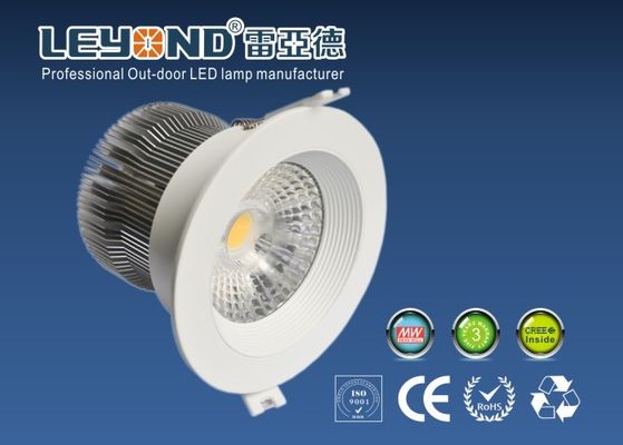 Anti - Glare CREE COB LED DownLight