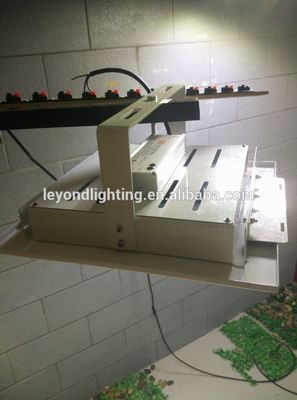 160lm/W Gas Station Petrol Led Station Light 100w 150w LED Canopy Light Ip65 With 5050 LEDs