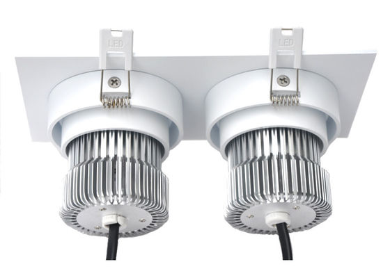 Double Heads LED Downlight