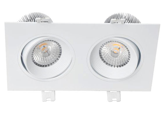 Double Heads LED Downlight